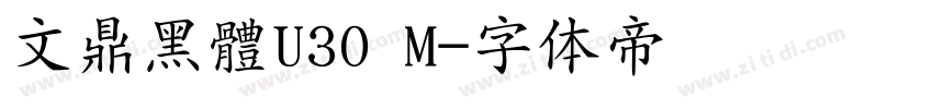 文鼎黑體U30 M字体转换